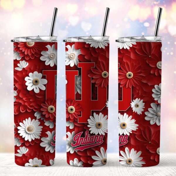 NCAA Indiana Hoosiers Skinny Tumbler Campus Spirit Quencher