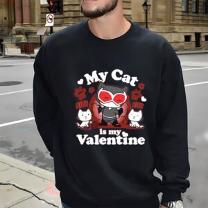 Valentines Womens Shirts DC Comics Batman Catwoman My Cat is Valentine T Shirt 3