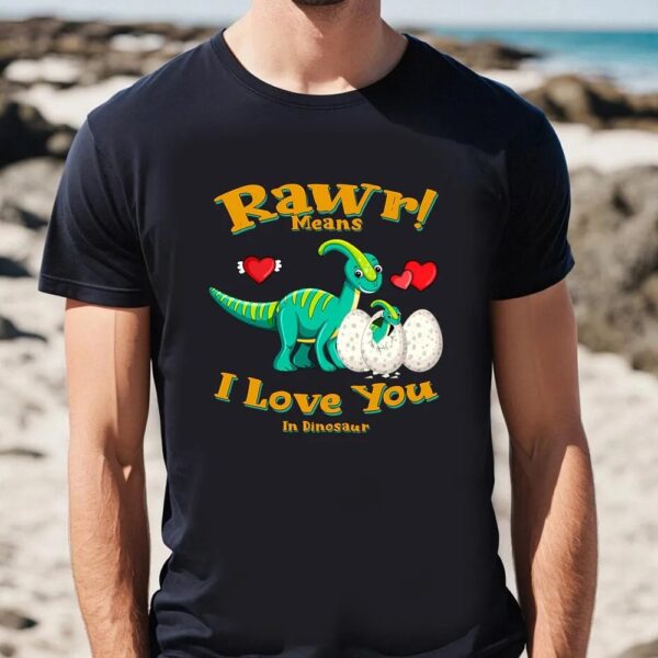 Valentines Womens Shirts, Rawr Means I Love You In Dinosaur, I Love You Valentine T-Shirt