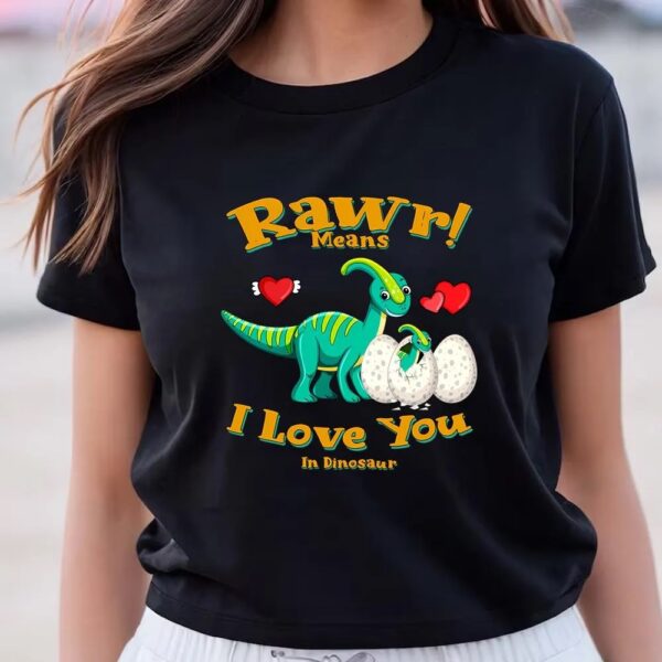 Valentines Womens Shirts, Rawr Means I Love You In Dinosaur, I Love You Valentine T-Shirt