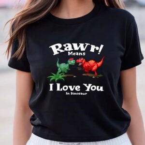 Valentines Womens Shirts Rawr Means I Love You In Dinosaur I Love You Valentines T Shirt 3