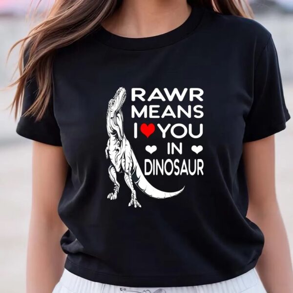 Valentines Womens Shirts, Rawr Means I Love You In Dinosaur Valentine Day Gift T-Shirt