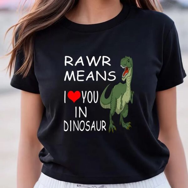 Valentines Womens Shirts, Rawr Means I Love You In Dinosaur Valentine T-Shirt