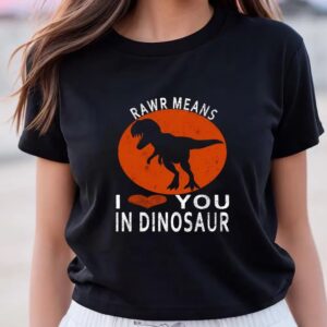 Valentines Womens Shirts Rawr Means I Love You In Dinosaur Valentines Day Gift T Shirt 3