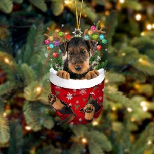 Airedale Terrier In Snow Pocket…