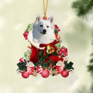 American Eskimo-Red Boot Hanging Christmas Plastic Hanging Ornament