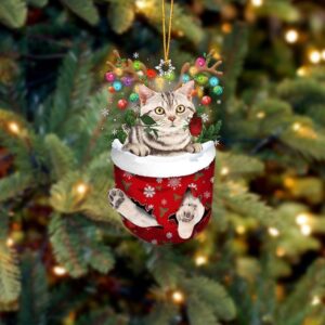 American Shorthair Cat In Snow Pocket Christmas Ornament Hanging Gift