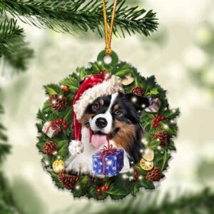 Australian Shepherd With Santa Hat…