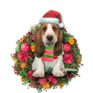 Basset Hound Christmas Christmas Plastic…