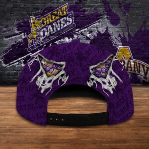 Customized NCAA Albany Great Danes Baseball Cap Sleek Layers Of Bliss 3 g5pqqz.jpg