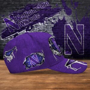 Customized NCAA Northwestern Wildcats Baseball Cap Chic Vibes in Headwear 2 iiy7lq.jpg