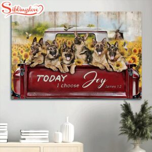 German Shepherd Sunflower Field Hummingbird…