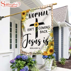 Jesus “Normal” Isn’t Coming Back…