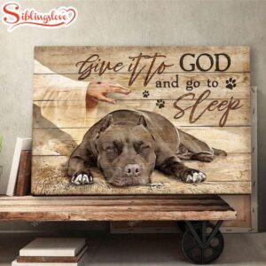 Pit Bull Give It To…