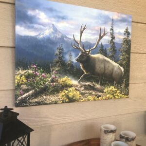 Siskiyou Bluff Canvas Wall Art