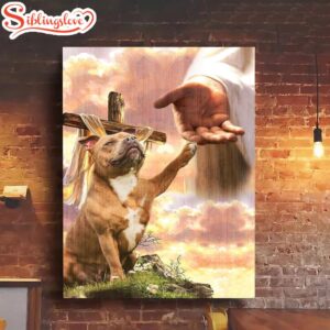 Staffordshire Bull Terrier (Staffies) God…