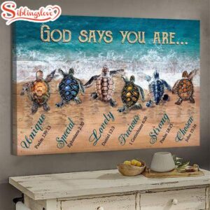 Turtles God Says You Are…