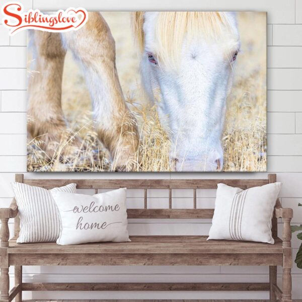 White Horse Canvas Wall Art